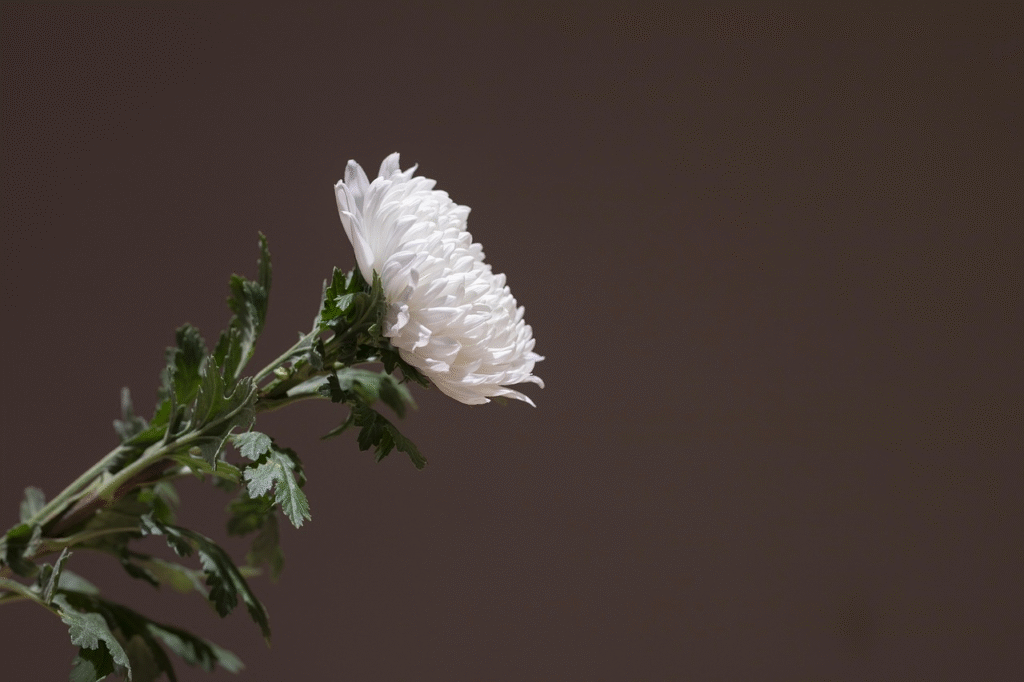 bloem